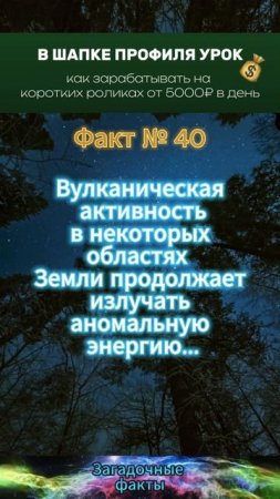 факт (1)