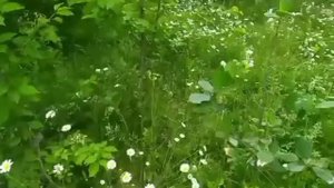 Не ожидала такого от зятя ботана.