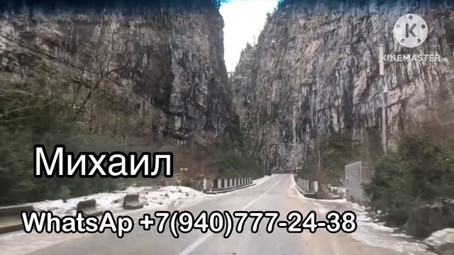 Абхазия 2025. Отдых в Самшитовой роще.