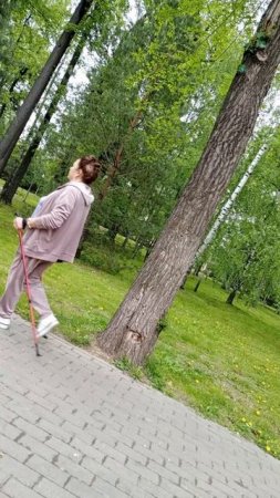 Всё цветёт