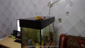 Игрушечная какашка с Aliexpress