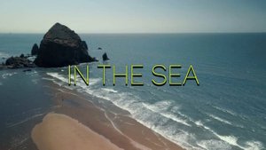 15 минут медитации на берегу океана