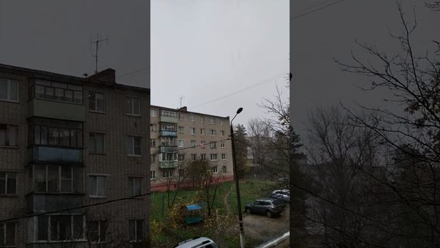 VID_20201106_134722