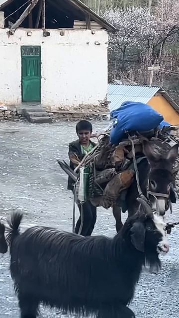 Горный кишлак в Таджикистане смотреть онлайн