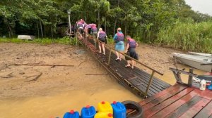 остров Борнео   Малайзия