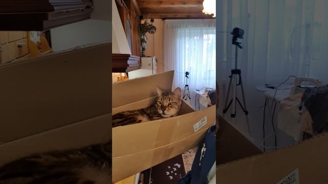 🧹🧺 Отчаянная домохозяйка на кухне #жизнь #влог