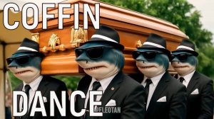 брэйнрот и Coffin Dance