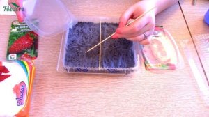 Как посеять землянику на рассаду - 7 дач