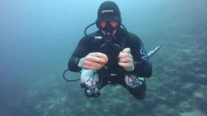 BRAIN TIME.  200 Incredible Things Caught on Camera. Best of the Month