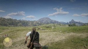 Охота на бизонов. Red Dead Redemption 2.