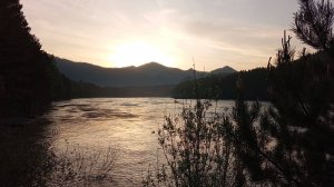 Поверь в мечту♥️50+