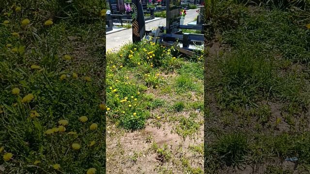 VID_20250521_122524