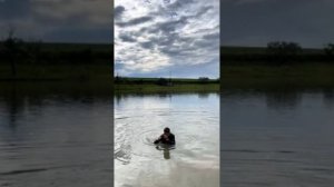Разновидность пираньи-Паку