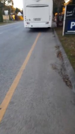 A buszsofőr barátunk sem ismeri a kreszt, hivatásból mások életét veszélyezteti!!