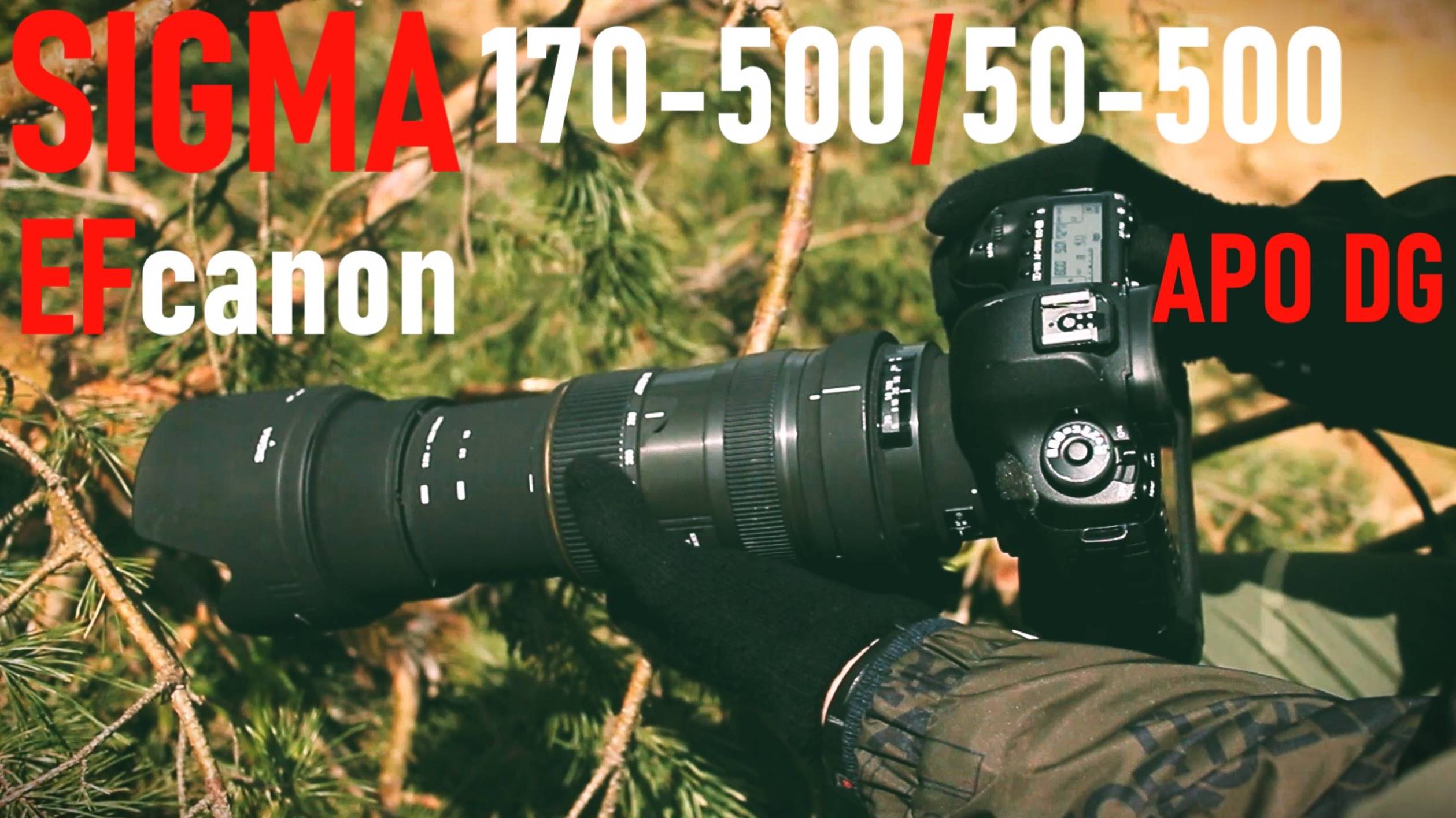 телеобъективы SIGMA 170-500 и 50-500 / нелепый обзор ) смотреть онлайн
