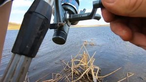 Рыбалка на донки в конце апреля 2025.