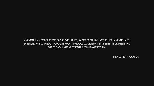 Способ защиты от стресса. ХОРА® Лекториум. Токмурзина Элина и Гаджиева Ирина