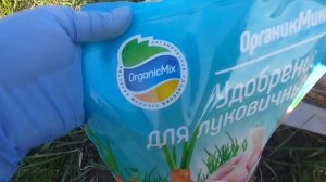 Сажаем лук только по-китайски 🧅🧅🧅