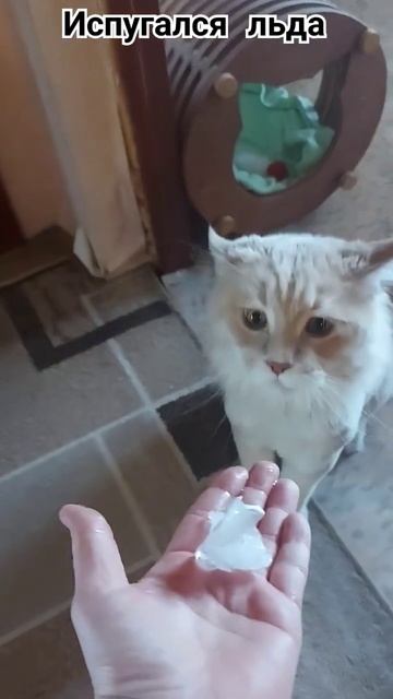 Испугался смотреть онлайн