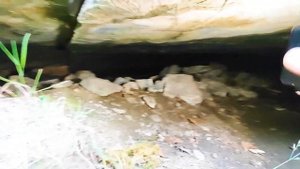 Кузбасс Салаир Святой источник (мост, пещера, озеро, ка