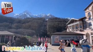 Лиса в Америке /Случилось горе /Потеряла ребёнка /Обзо?