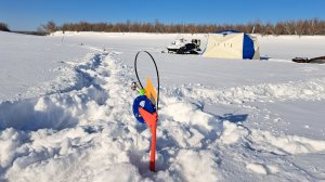 Щука рвет жерлицы!