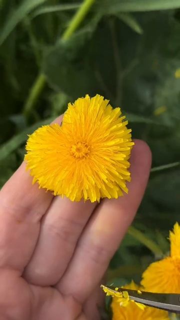 Это вам делать нечего...у меня дел смотреть онлайн