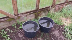Уборка в дачных домиках/ Первый гриб