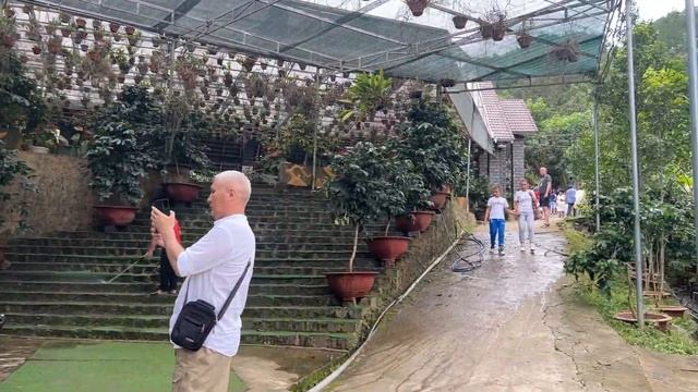 Далат. Наша лучшая экскурсия во Вьетнаме! Спуск на эле? смотреть онлайн