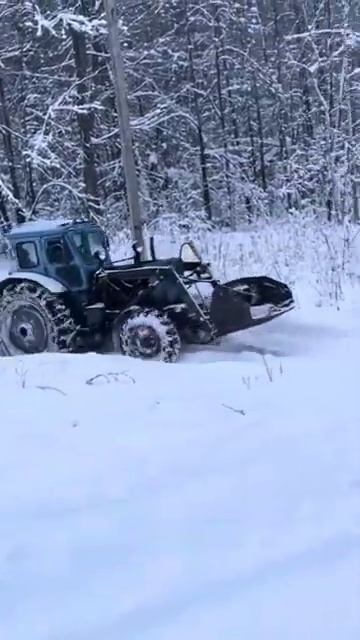Турбо Т-40 трелёвка леса зимой