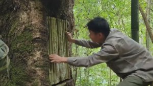 КАК ВЫЖИТЬ В ДЕРЕВЕ Пособие для соседеи не убежавших вовремя в г