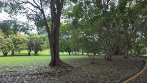 Плюсы и минусы жизни в Панаме. Влог о жизни в Панаме.