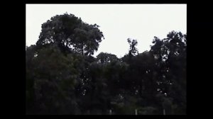 Малави.  Погоня за озерным монстром "Шумигу"