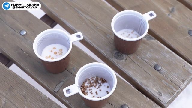 Весенние девчонки / квест парк Зеленый мыс / Советская
