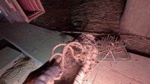 ЛЮДИ ЖИЛИ В ЭТИХ ОГРОМНЫХ ДОМАХ НЕСКОЛЬКО ПОКОЛЕНИЙ. Старинные находки в заброшенной деревне.