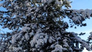 Любовь Веры 1 - 8 серии | Мелодрама 2022