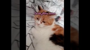 а ты хочешь поздравление от меня?