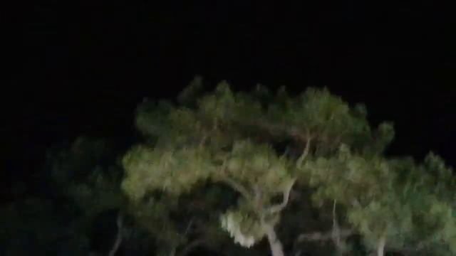 Пенная вечеринка в бассейне-СУПЕР!!! смотреть онлайн