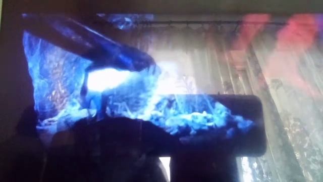 Инфо а пауков гигантов из фильма атака пауков гигантов смотреть онлайн