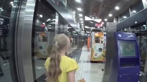 ОАЭ Дубай 2025! Цены на экскурсии, городские пляжи, общес