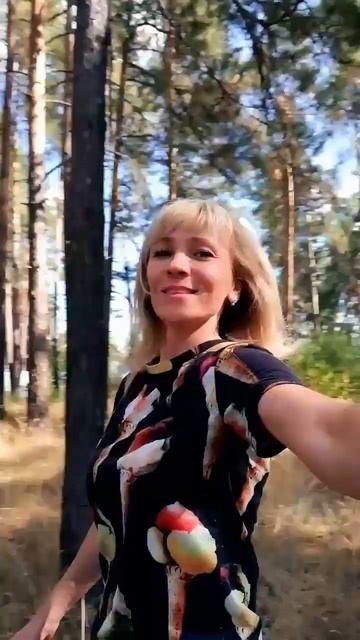 сосны и берёзы #сосновыйбор#лес#лето#наслаждаемся#лет смотреть онлайн