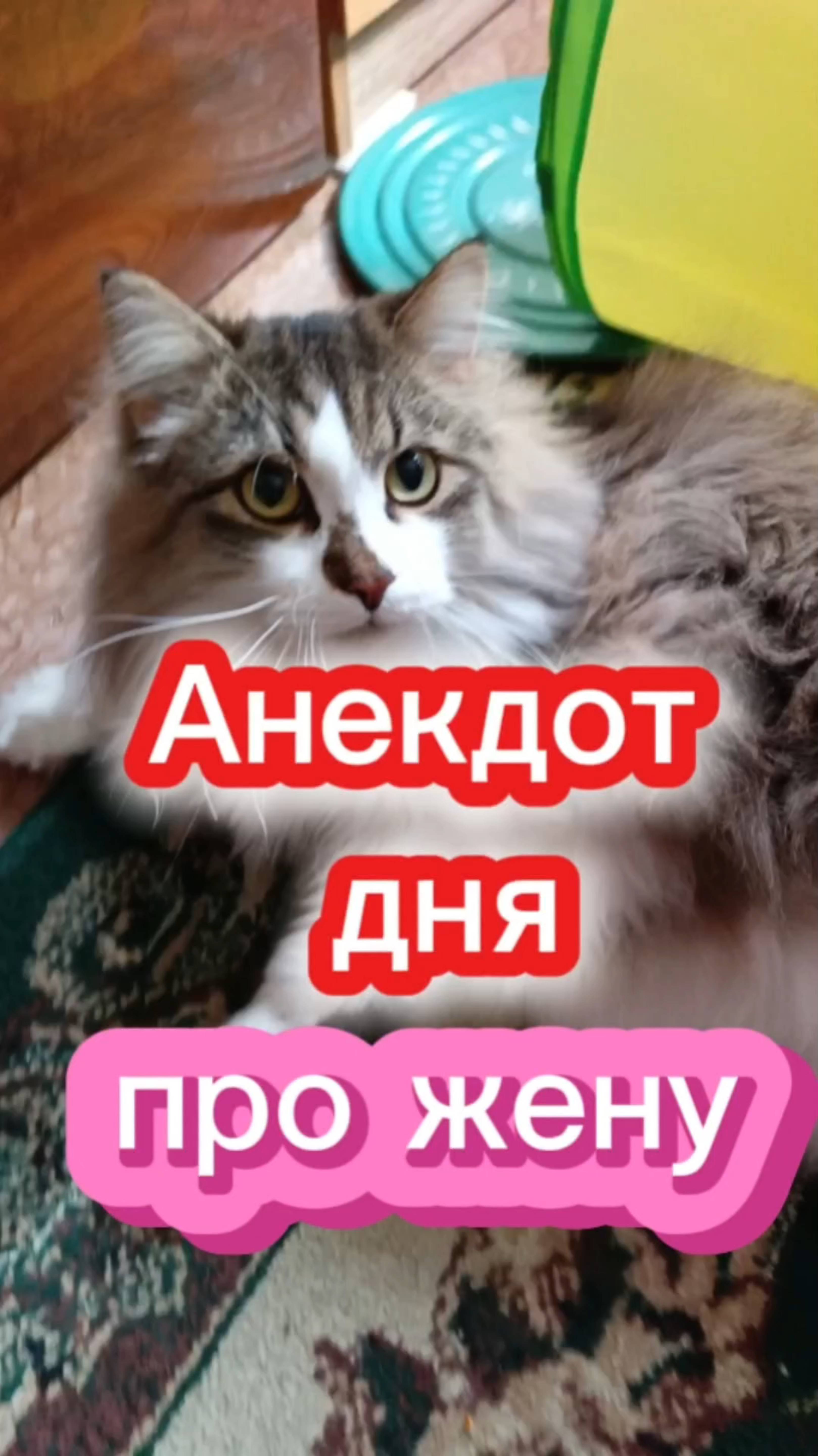 Анекдот дня. Про жену