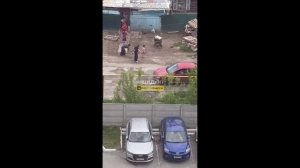 В Новосибирске, возле ЖК Крымский, территорию оккупировала цыганская ячейка !!!