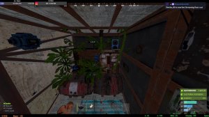 RUST