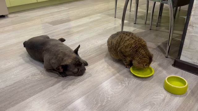 растопил МИТЯ врачу сердце смотреть онлайн