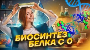 Биосинтез белка с 0 для задания 27 ЕГЭ Биология: вся теория + практика | Умскул