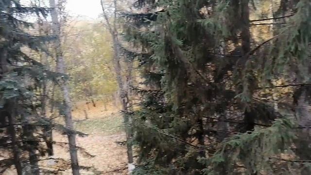 Вид с балкона моего номера. Санаторий им.Цурюпы. Воронежская область.