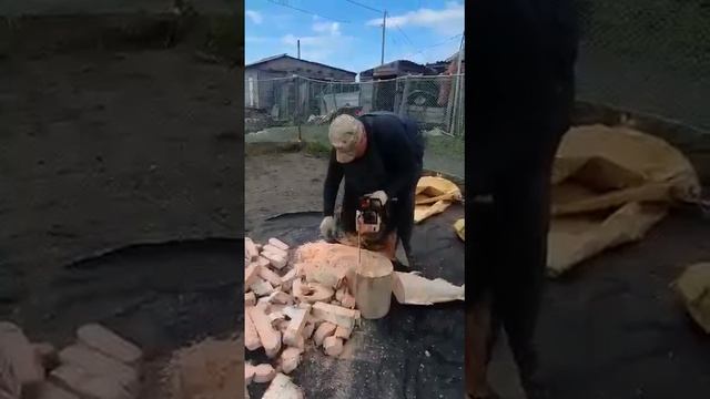 🐟 На Камчатке чавыча используется для удобрения картошки
