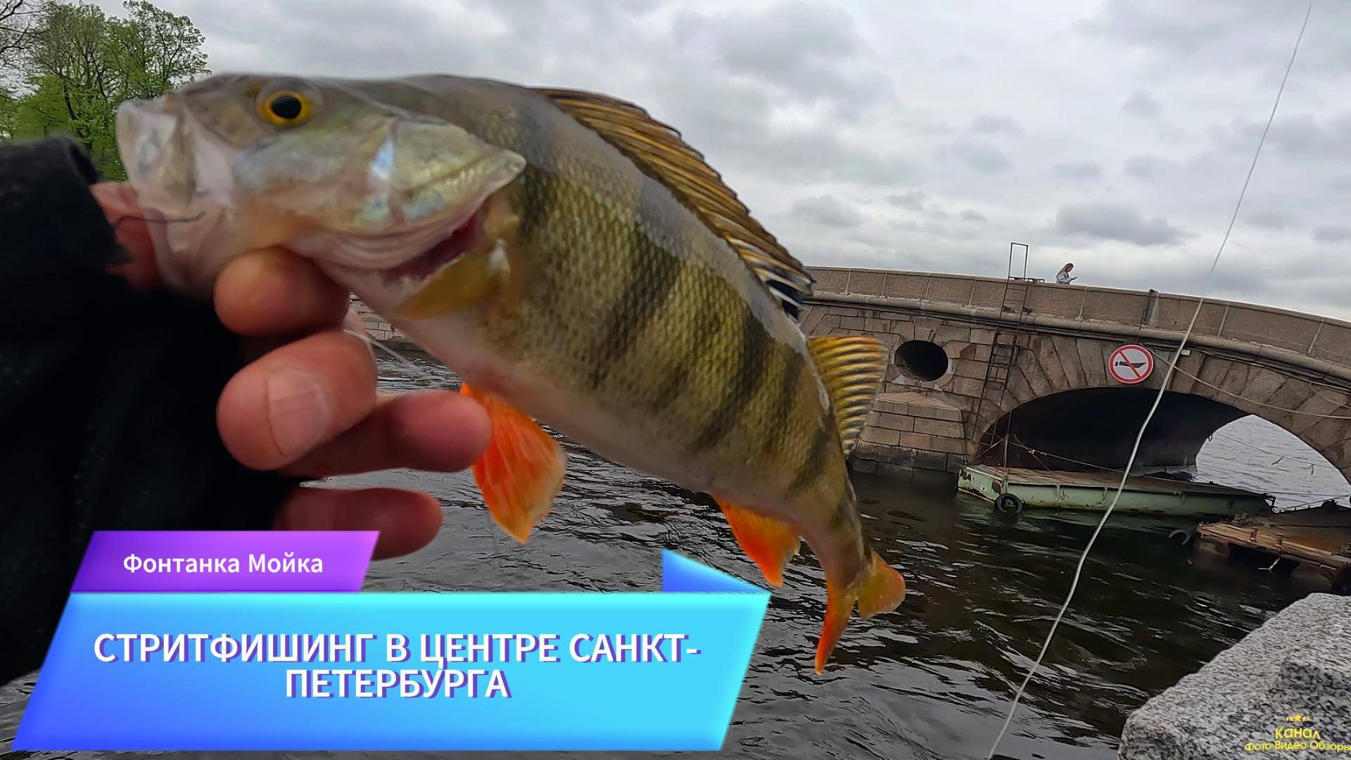 ФОНТАНКА МОЙКА ОКУНЬ РЫБАЛКА МАЙ 2025 ЛОВЛЯ ОКУНЯ НА СНАСТЬ ДРОПШОТ СИЛИКОНОВЫЕ ПРИМАНКИ