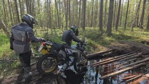 #76-8 Мыс Речной | Kove 500 X | Voge 300 Rally | KTM 390 Adventure SW